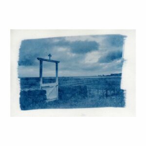 Cyanotype #05 — Cyanopic®