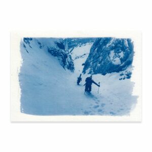 Cyanotype #23 - Cyanopic
