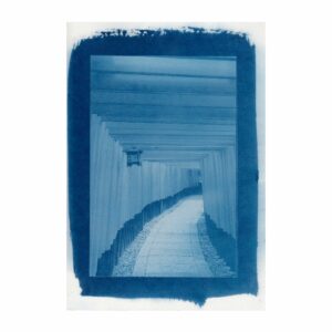 Cyanotype #07 — Cyanopic®